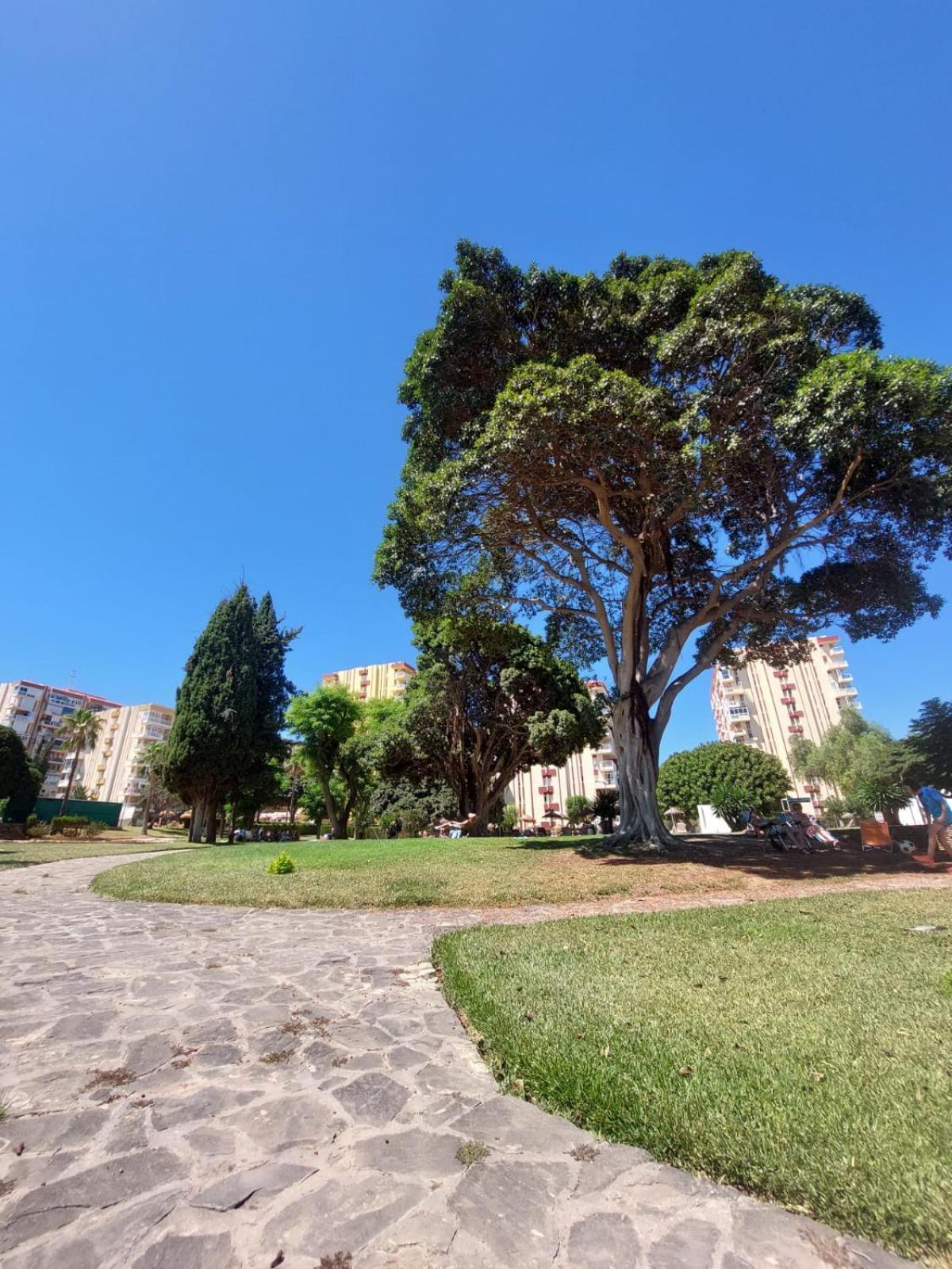Studio Vista Costa Del Sol Беналмадена Екстериор снимка